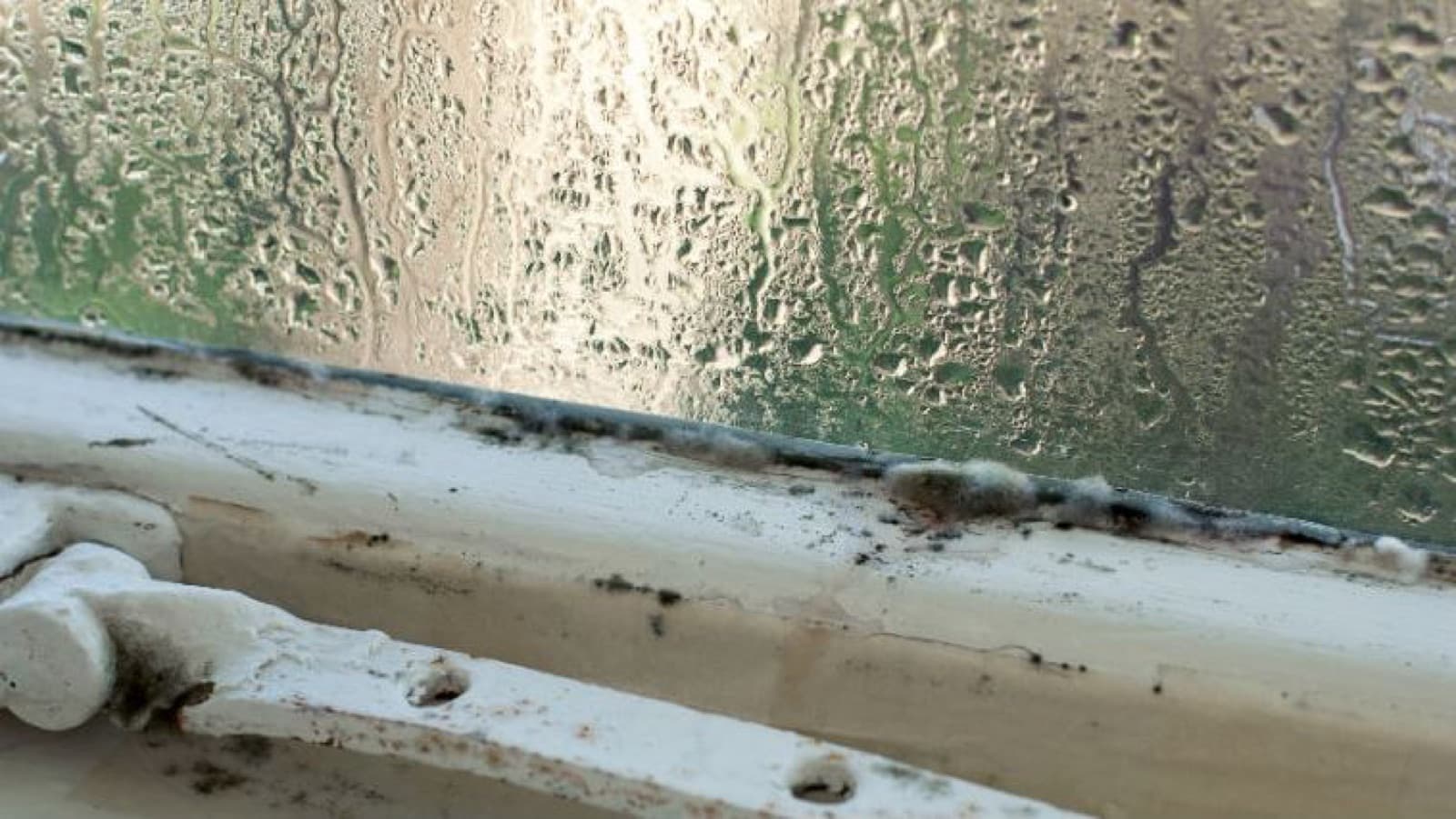 Vochtbestrijding: vochtige badkamer ventileren